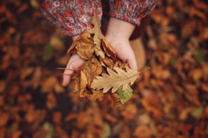 пъстър килим от шарени есенни листа