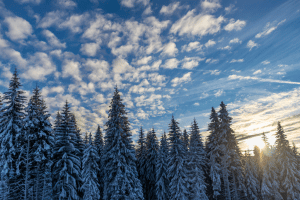 зимен пейзаж Банско
