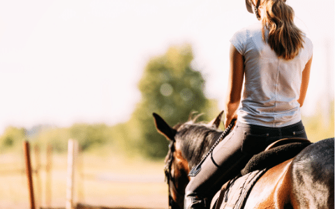 Забавления на открито - Яздене на коне в Банско