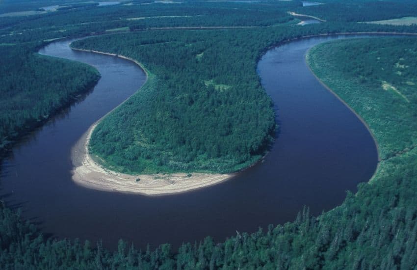 The meanders of the Ribna River
