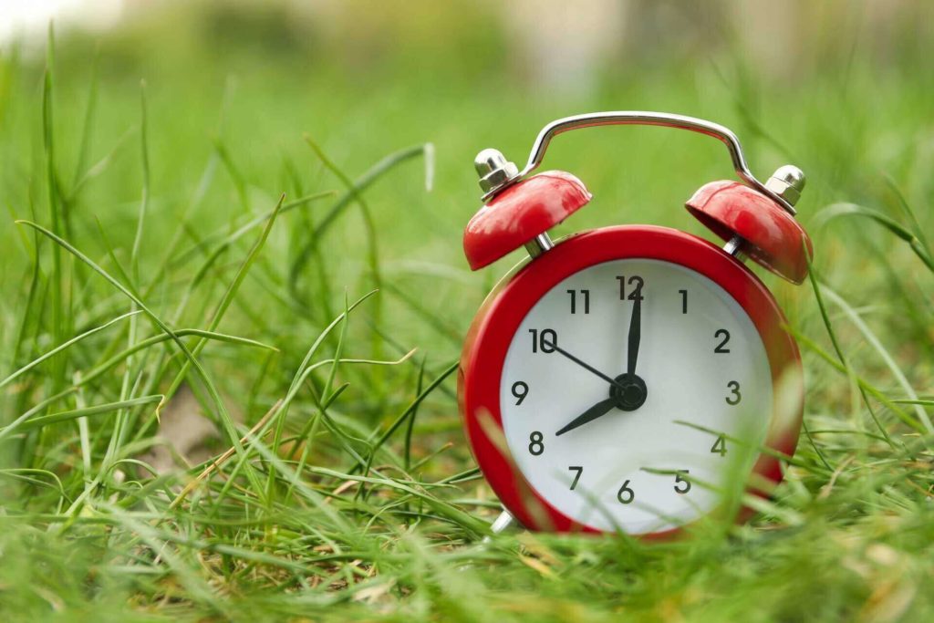 alarm clock on green grass1 - Balkan Jewel Resort & Chalets