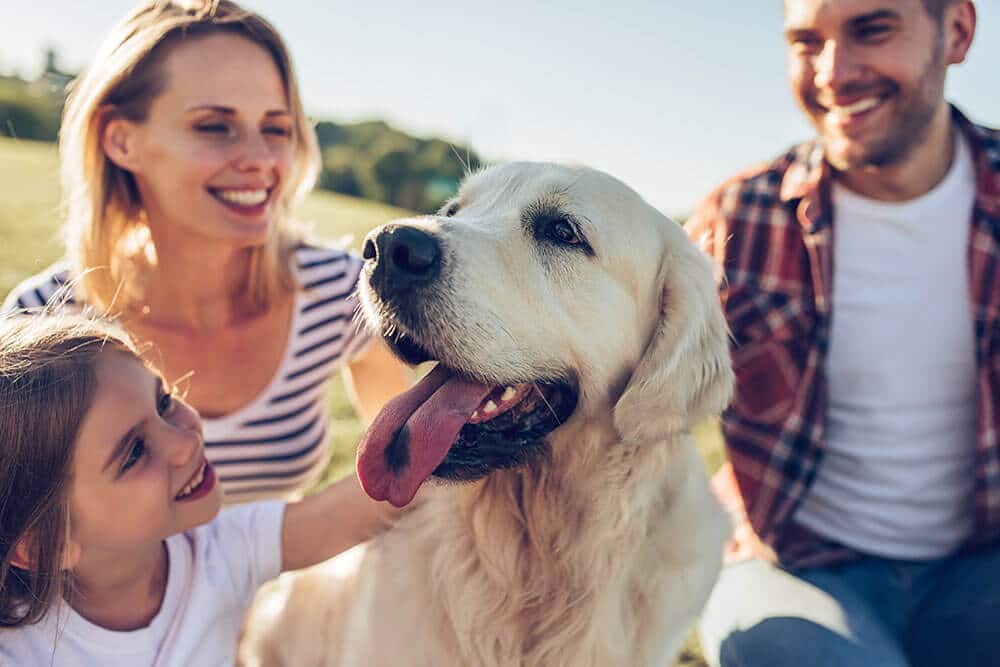 Family with dog - Balkan Jewel Resort & Chalets